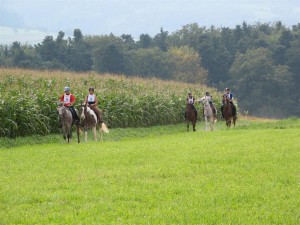 20060910 Endurance Shneisingen 5263 (Large)