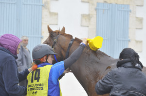 MONTCUQ 2017 jour 2 087
