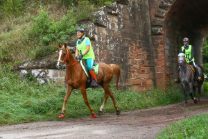 Oradell Wimmenau 2017