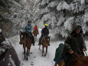 Schlussritt//hock 12/10/2017