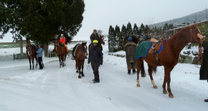 Schlussritt//hock 12/10/2017