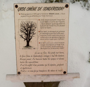 Schlussritt//hock 12/10/2017