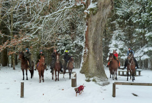 Schlussritt//hock 12/10/2017