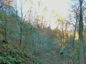 End of Season Event 2018