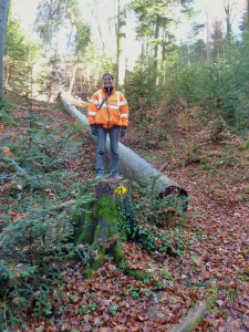 End of Season Event 2018