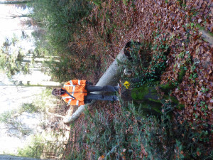 End of Season Event 2018