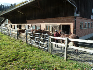 End of Season Event 2018