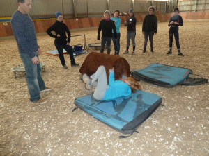 1/27/2019 Kurs Learn To Fall in Bouxwiller